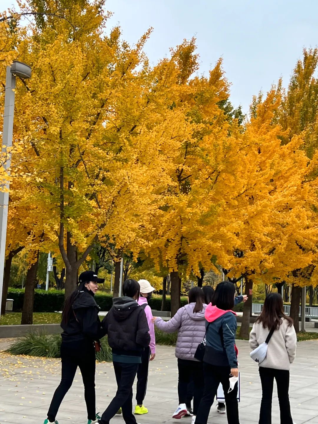 1667353262121977.jpg 1667353262121977.jpg